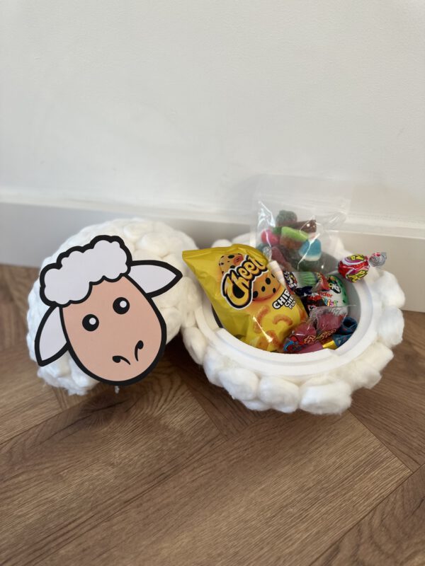 AE8F8D76-EFB9-4C16-856D-2329B99B10F2-scaled-1.jpeg Surprise schaap