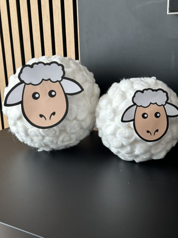 C2D84951-F3C1-4BDA-BA8B-32EEDCF9B6DF-scaled-1.jpeg Surprise schaap klein
