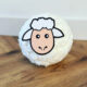 Surprise schaap