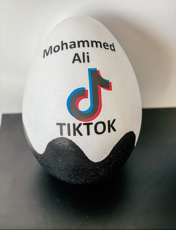 tiktok.jpg Verassing ei xl
